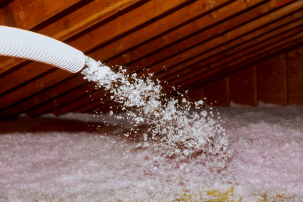 Best Fiberglass Insulation  in Louisa, VA