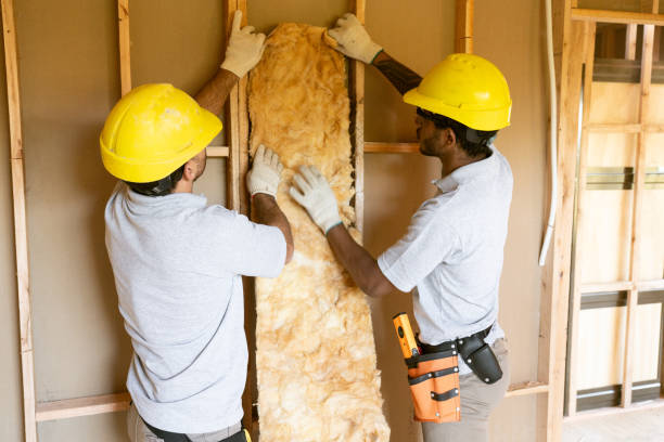 Best Spray Foam Insulation  in Louisa, VA