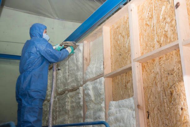 Best Insulation Replacement Services  in Louisa, VA