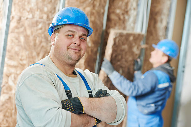 Best Local Insulation Services  in Louisa, VA